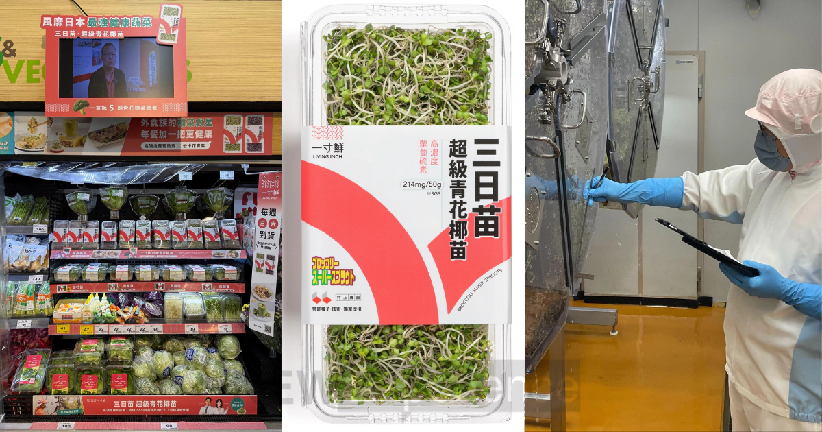 銷量翻倍！「三日苗-超級青花椰苗」引爆熱潮，台日合作揭開「蘿蔔硫素」抗氧秘密